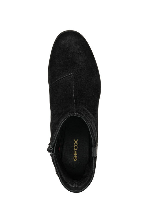 WALK PLEASURE 55 WOMAN