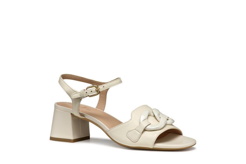 NEERAKLIA 50 T WOMAN