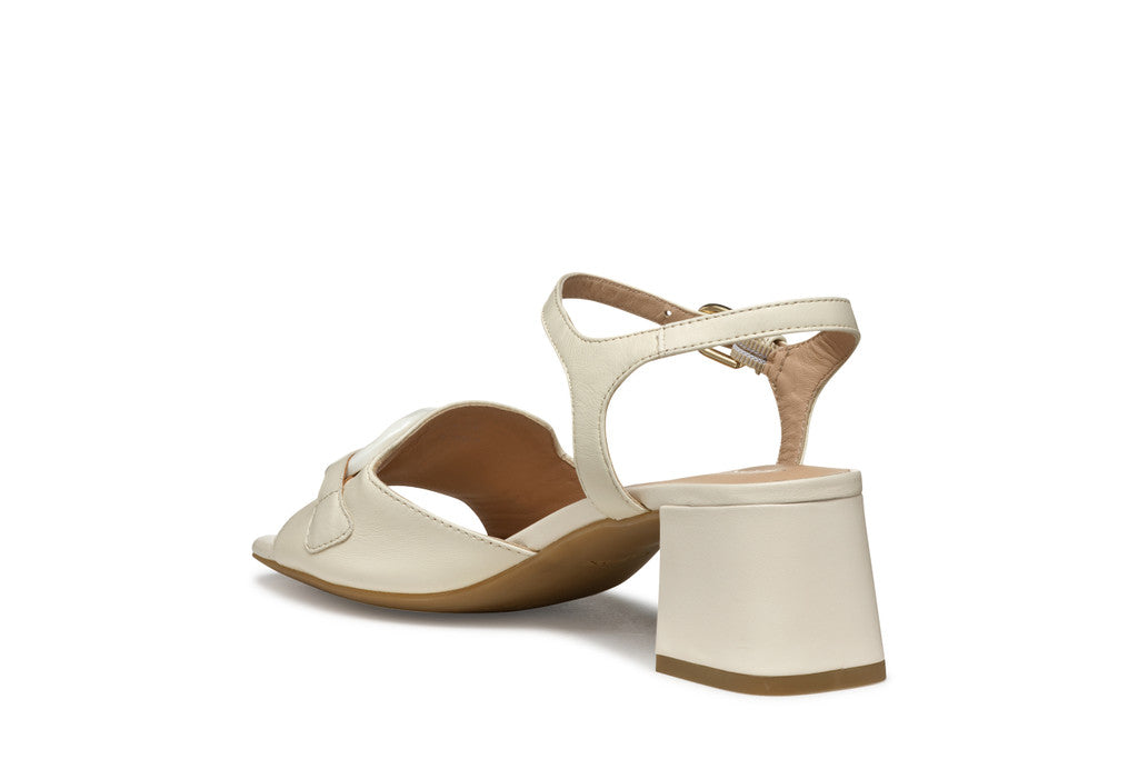 NEERAKLIA 50 T WOMAN
