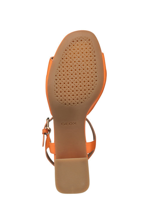 NEERAKLIA 50 T WOMAN