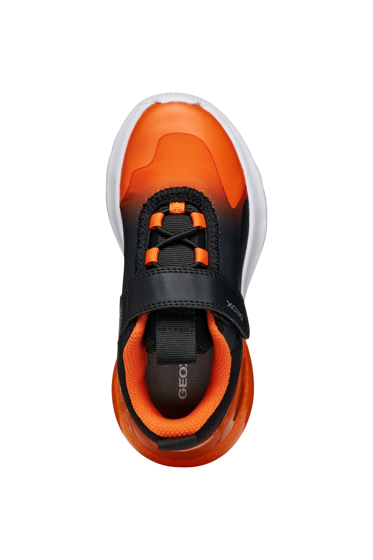 ACTIVART ILLUMINUS BOY