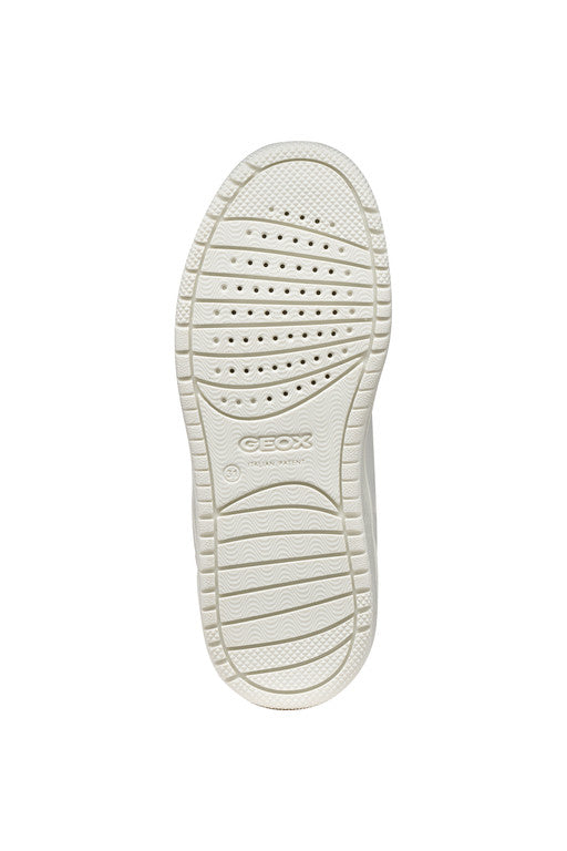 WASHIBA FAST IN GIRL