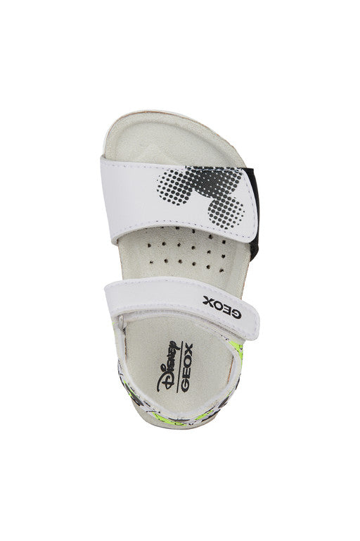 Baby Macchia | GEOX Baby Macchia | GEOX