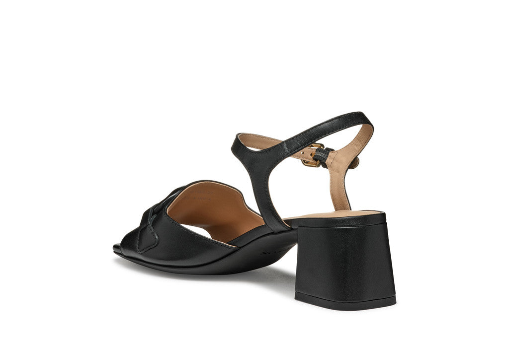 NEERAKLIA 50 T WOMAN