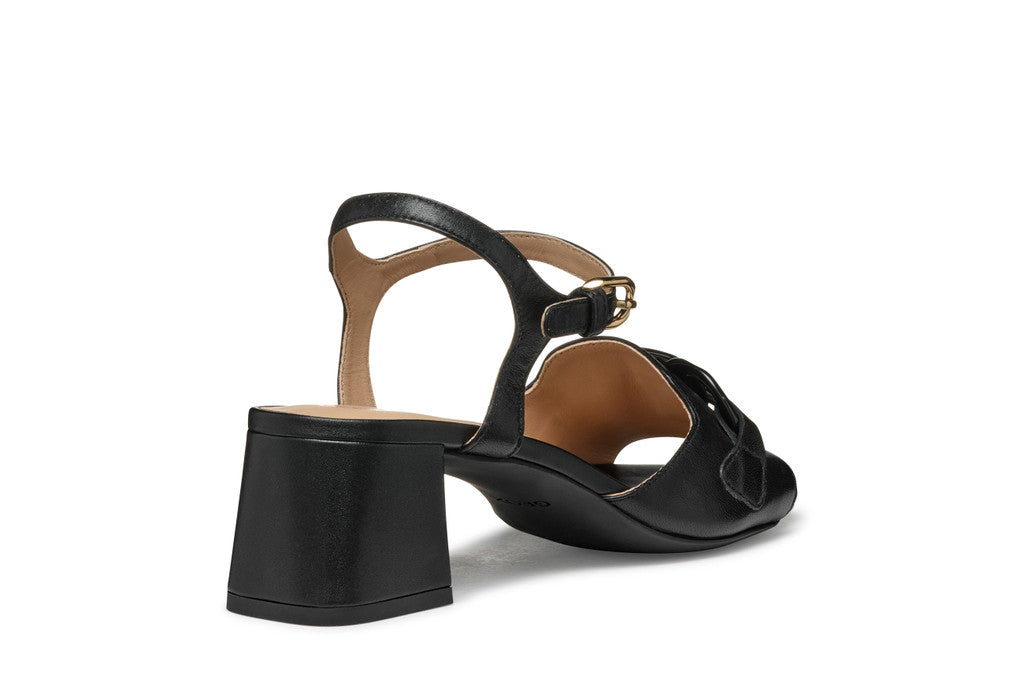 NEERAKLIA 50 T WOMAN