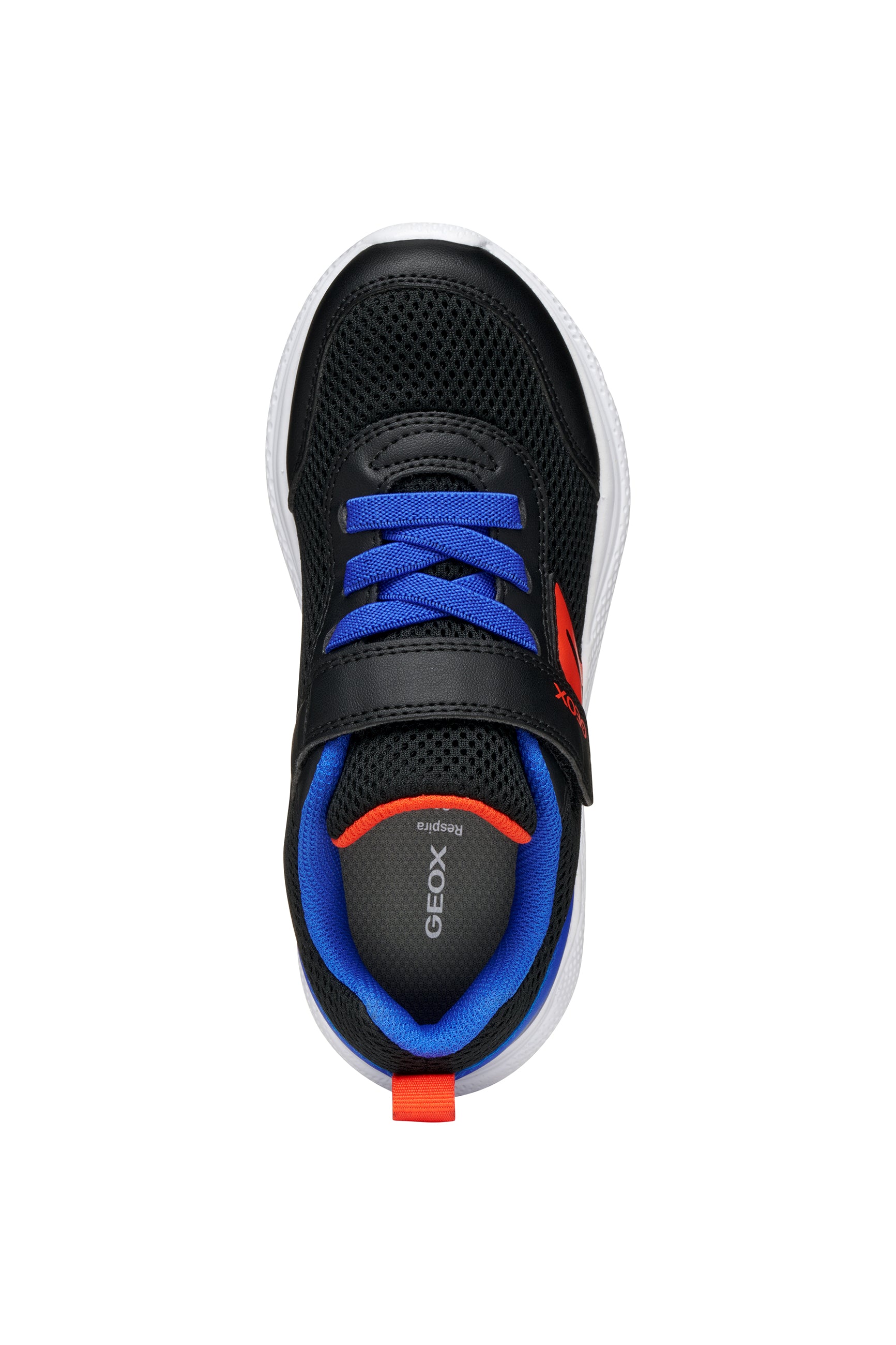 Sprintye Boy | GEOX Sprintye Boy | GEOX