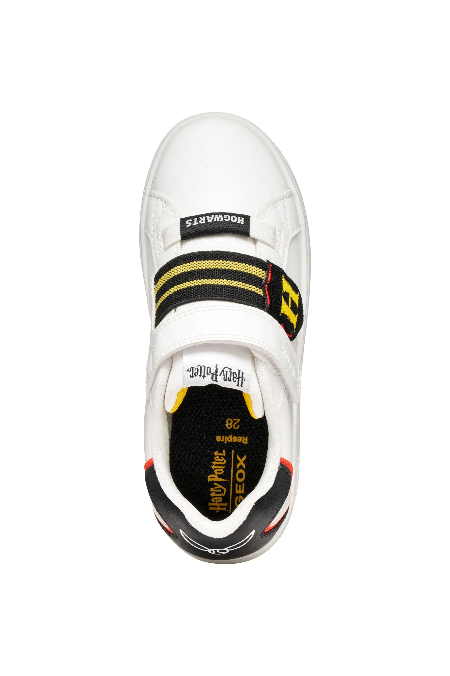 Eclyper Boy | GEOX Eclyper Boy | GEOX