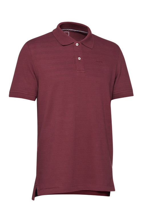 POLO MAN