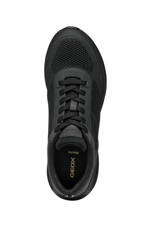 Klaiver Man | GEOX Klaiver Man | GEOX