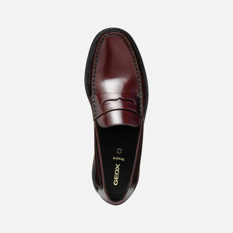 Recanati Man | GEOX Recanati Man | GEOX