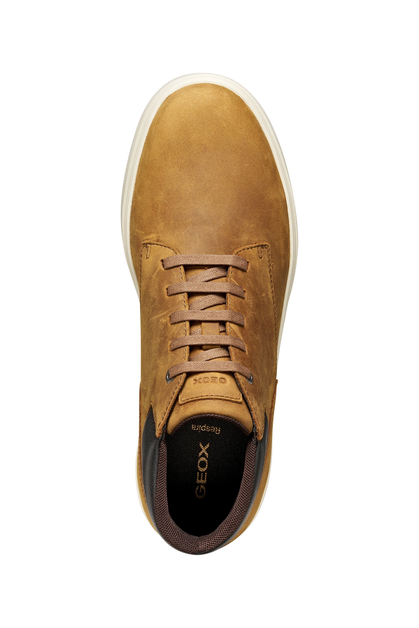 Baltmoore Man | GEOX Baltmoore Man | GEOX