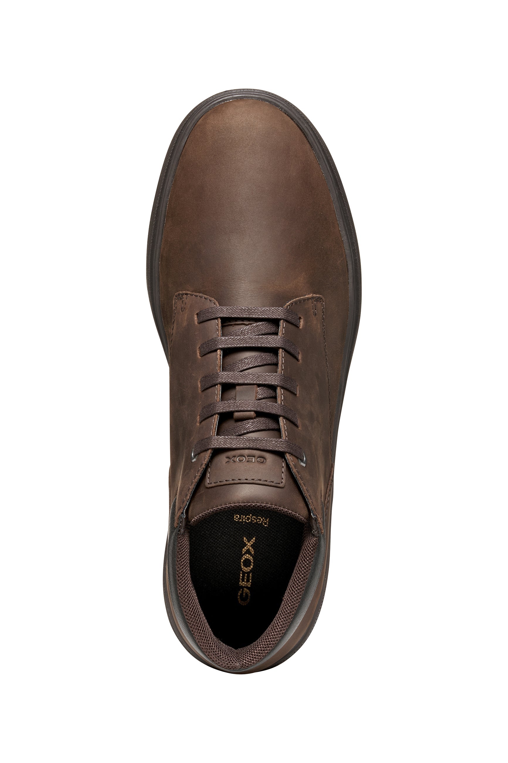 Baltmoore Man | GEOX Baltmoore Man | GEOX