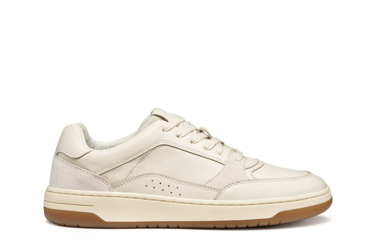 Sedral Court Man | GEOX Sedral Court Man | GEOX