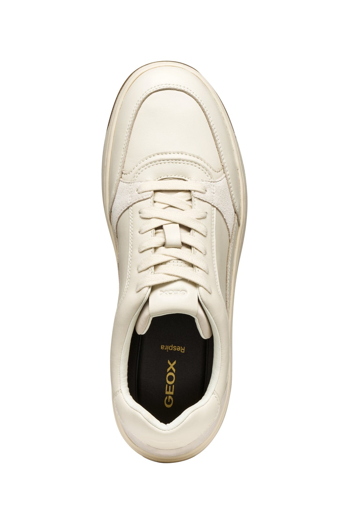 Sedral Court Man | GEOX Sedral Court Man | GEOX